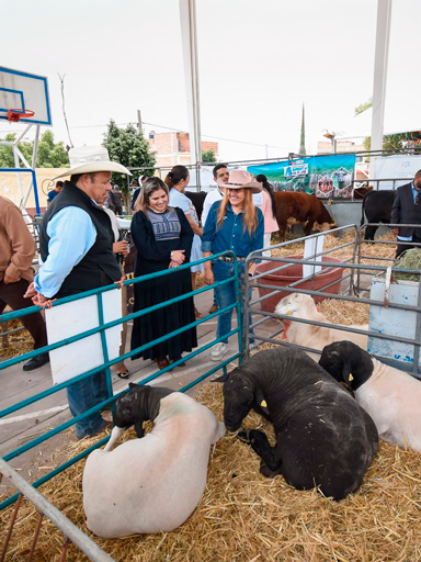 Concretan más de 40 ventas de ganado en Apaseo el Alto